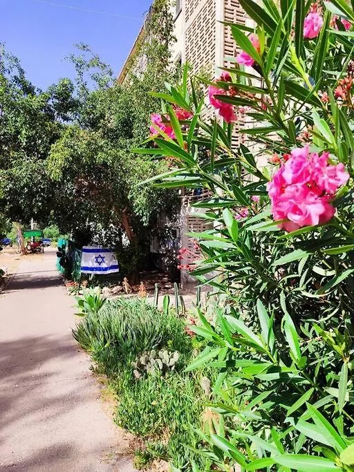 A Flat With A Garden 25 Apartment Haifa